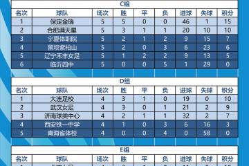 乐鱼app-包含华沙球队取得胜利，积分榜名次上升的词条